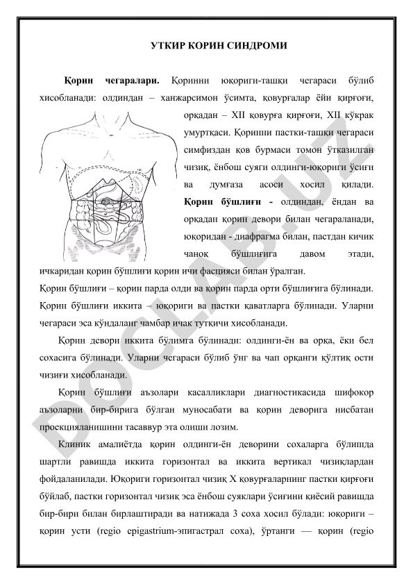 Уткир корини синдроми ва корини анатомияси
