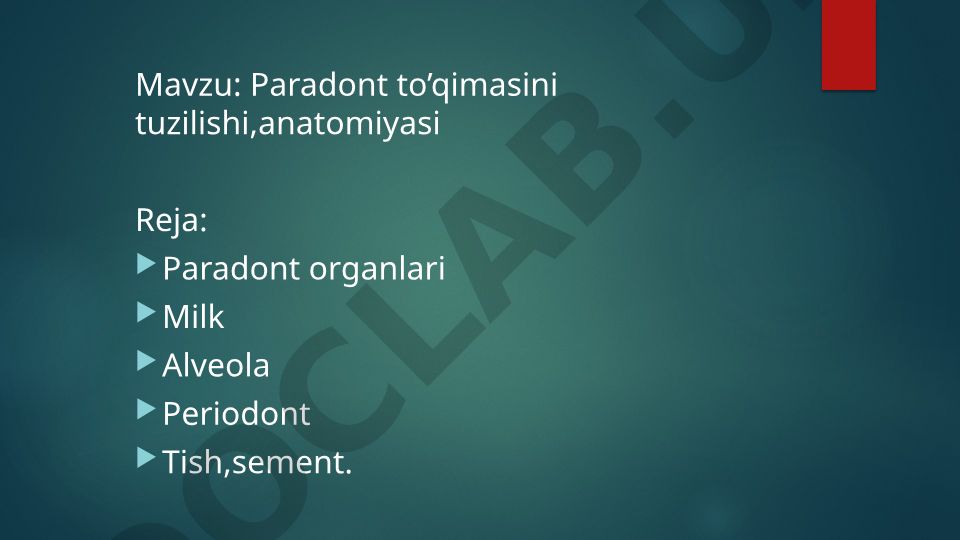 Paradont to'qimasini tuzilishi va anatomiyasi