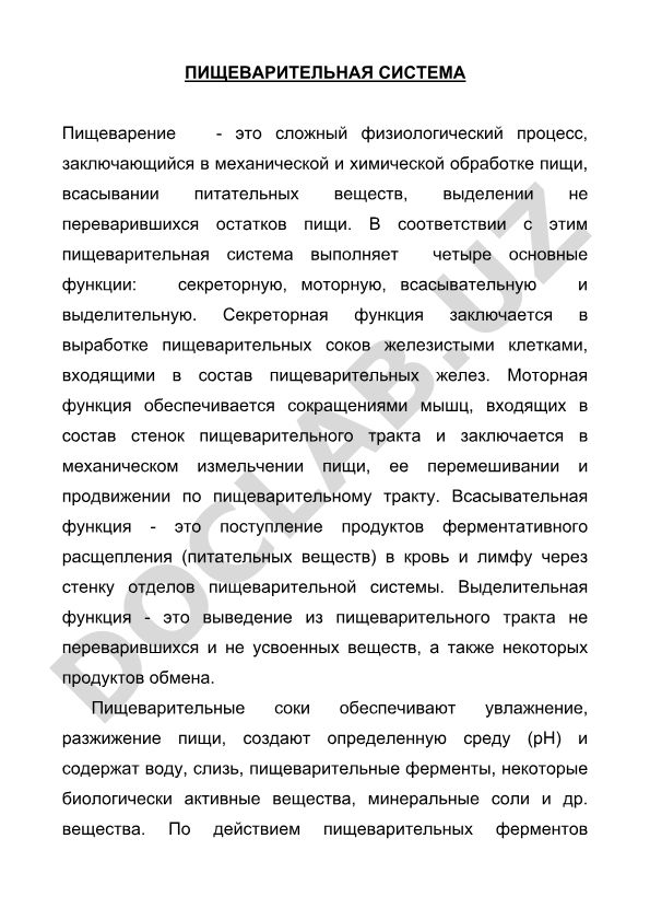 Пищеварительная система и её основные функции