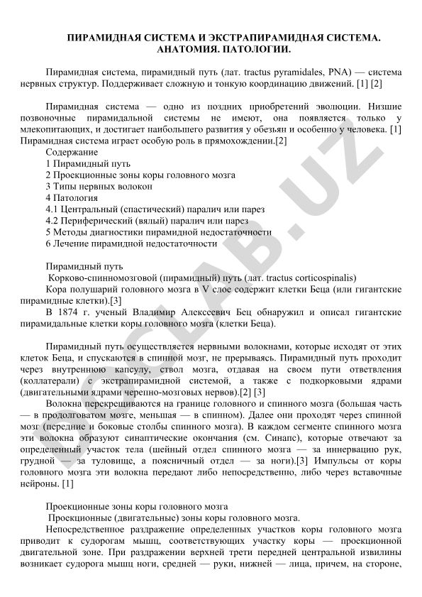 Пирамидная и экстрапирамидная системы: анатомия и патологии