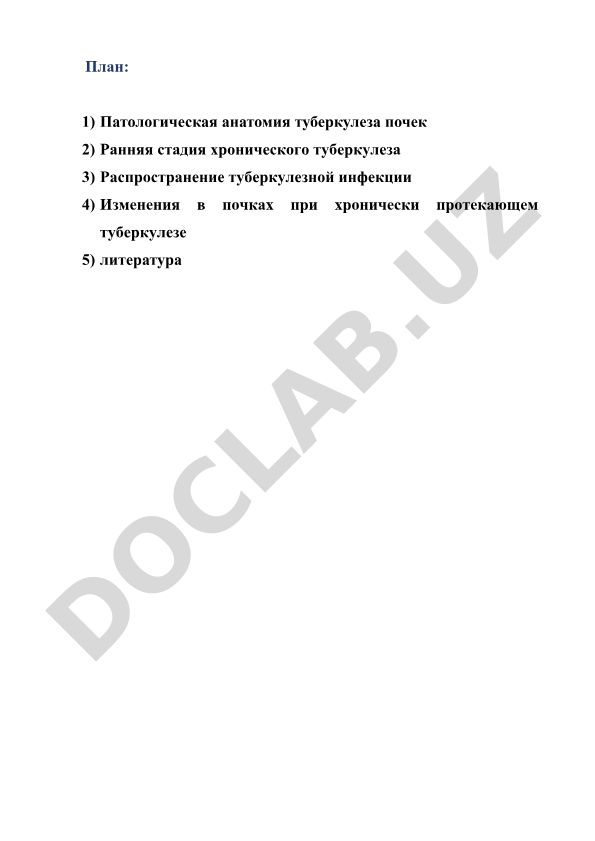 Патологическая анатомия туберкулеза почек