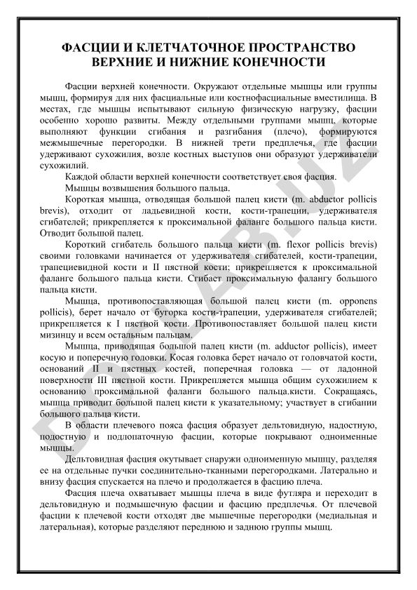 Фасции и клетчаточное пространство верхних и нижних конечностей