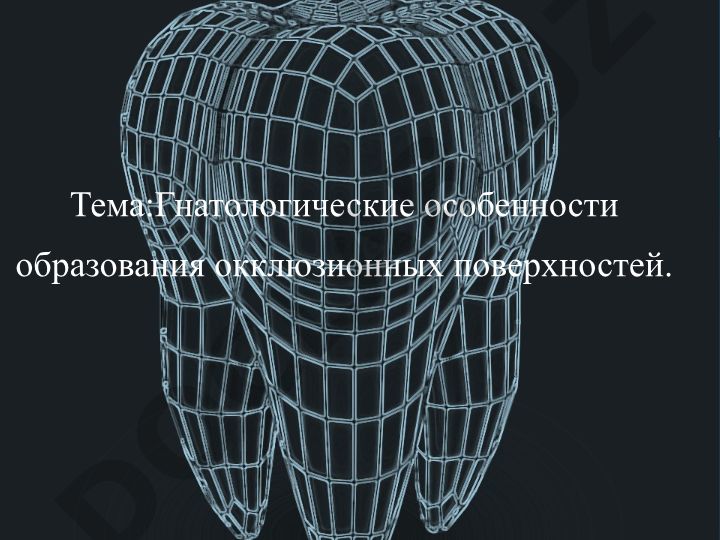 Гнатологические особенности образования окклюзионных поверхностей зубов