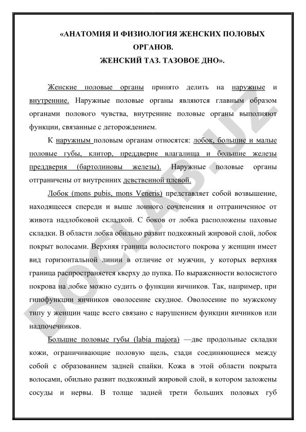 Анатомия и физиология женских половых органов. Женский таз. Тазовое дно