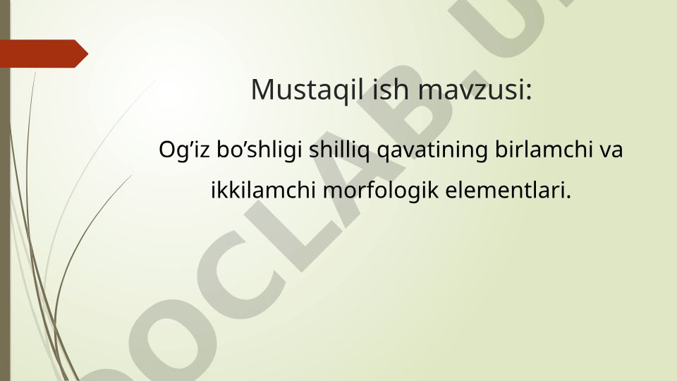 Og’iz bo’shligi shilliq qavatining birlamchi va ikkilamchi morfologik elementlari