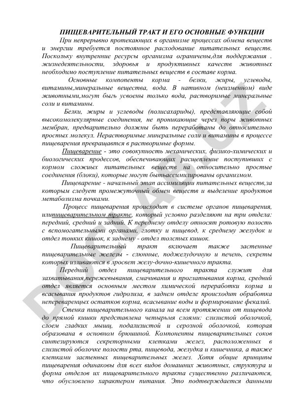 Пищеварительный тракт и его основные функции
