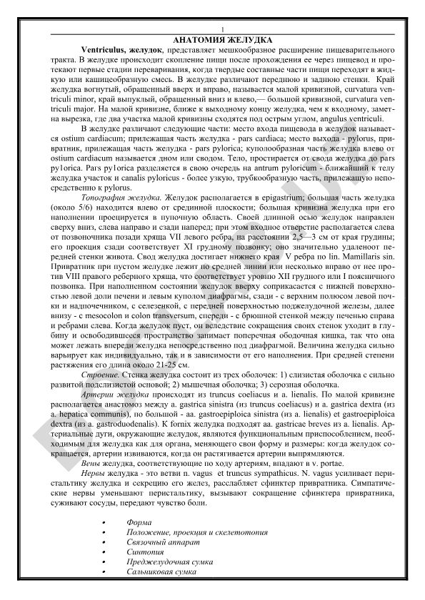 Анатомия желудка: строение и функции