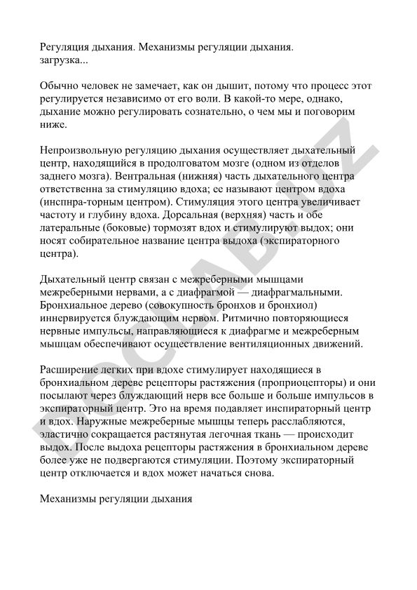 Регуляция дыхания и её механизмы