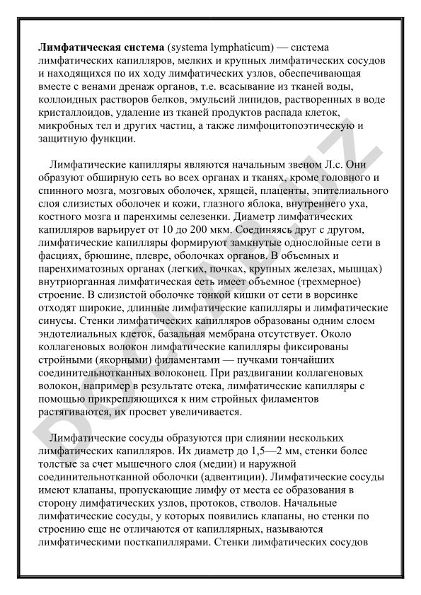Лимфатическая система: строение и функции