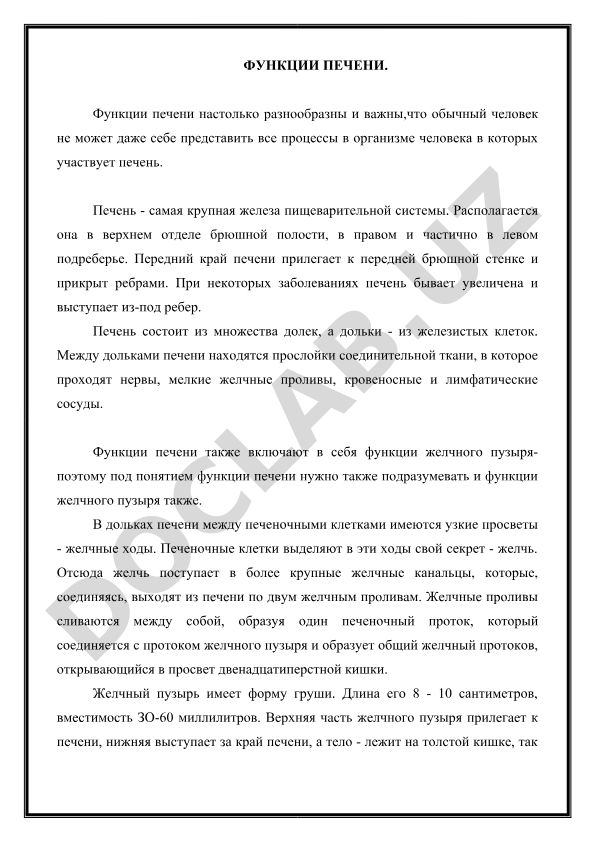 Функции печени и желчного пузыря в организме человека