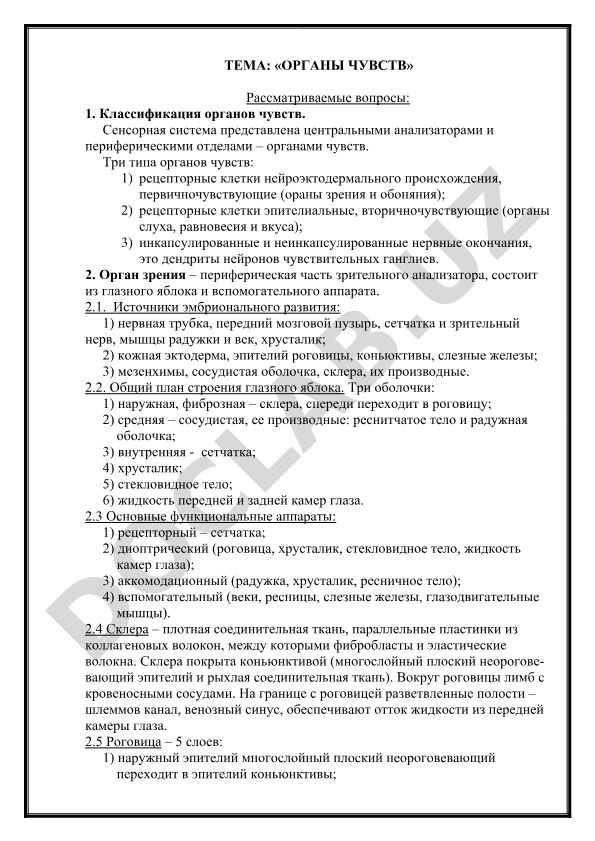 Органы чувств