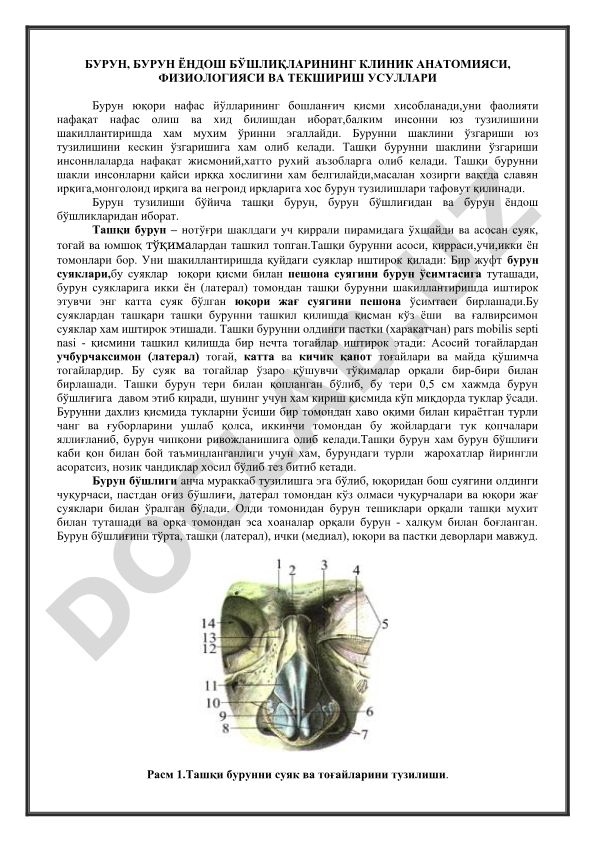 Бурун ёндош бўшлиқларининг клиник анатомияси, физиологияси ва текшириш усуллари