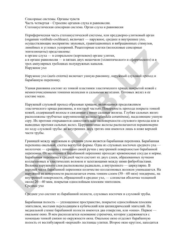 Строение органов слуха и равновесия. Статоакустическая сенсорная система
