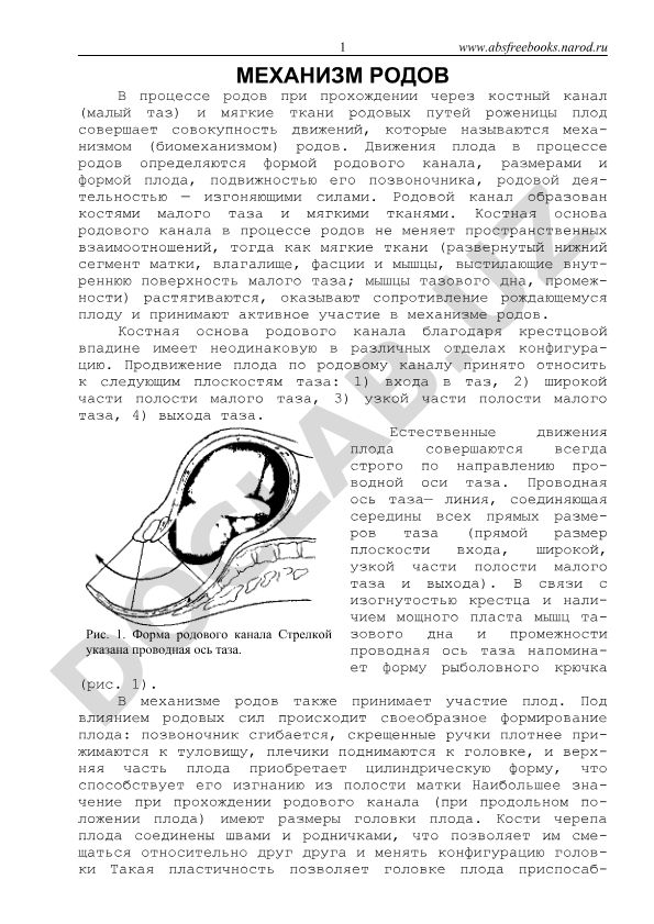 Механизм родов: биомеханизм и анатомия родового канала
