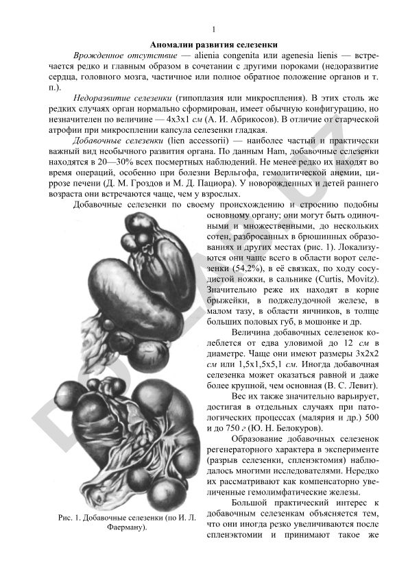 Аномалии развития селезенки