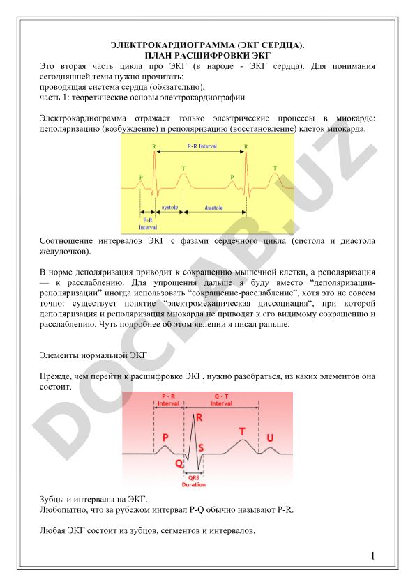 Электрокардиограмма (ЭКГ сердца): план расшифровки и элементы