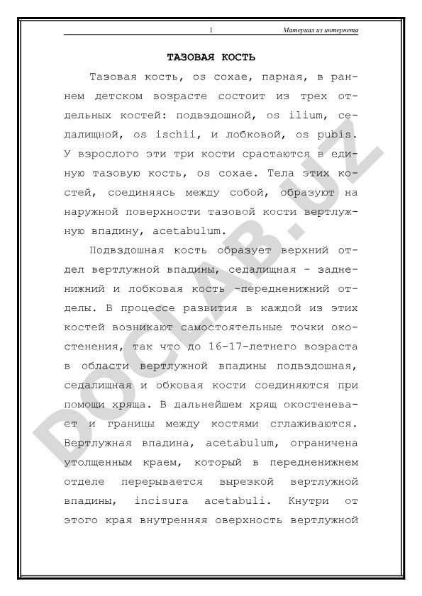 Тазовая кость: строение и развитие