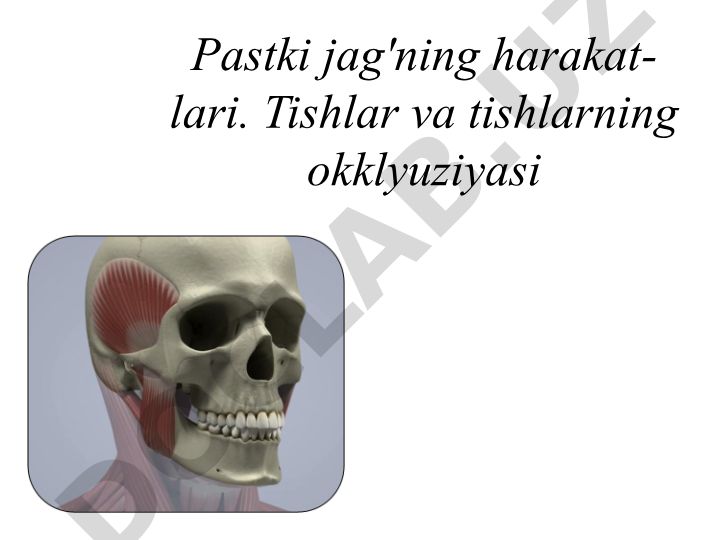 Pastki jag'ning harakatlari va tishlar okklyuziyasi