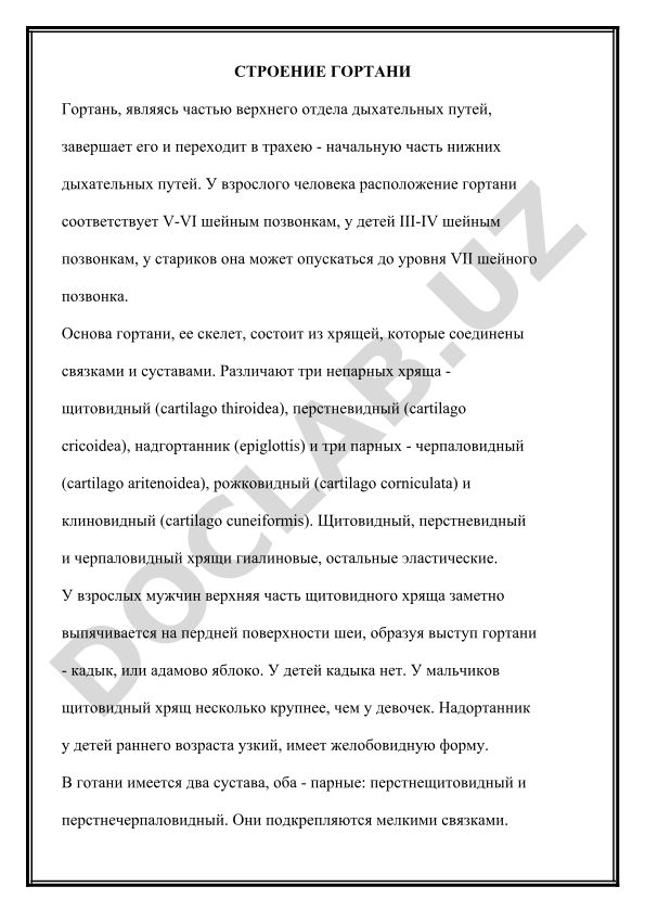 Строение гортани человека