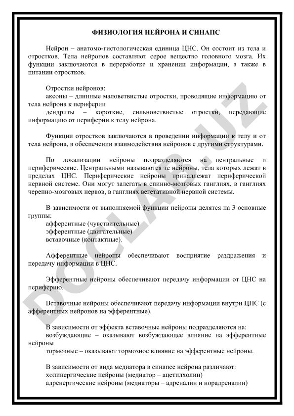 Физиология нейрона и синапс