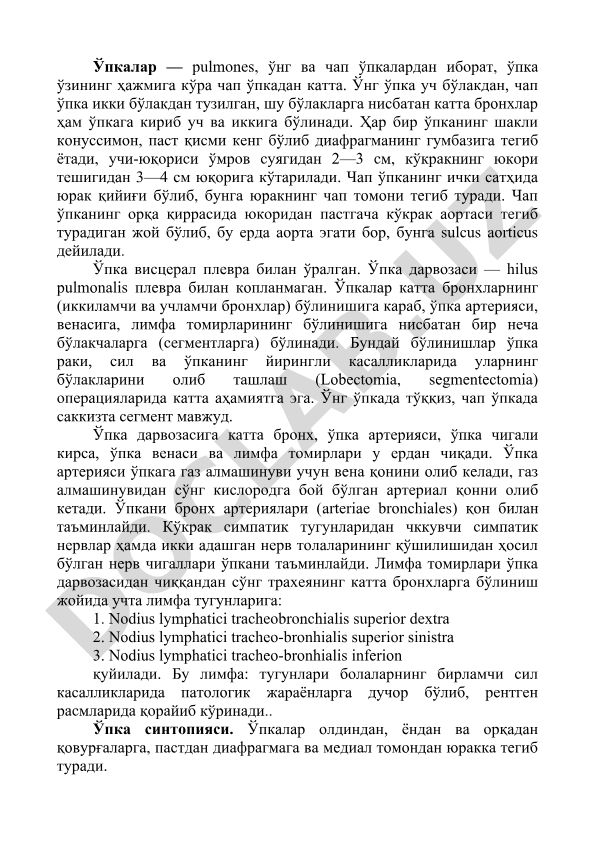 O'pka tuzilishi va segmentlari