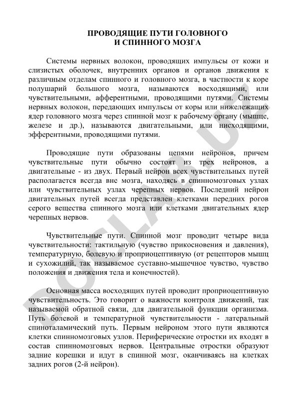 Проводящие пути головного и спинного мозга