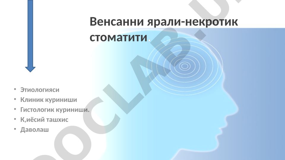Венсаннинг ярали-некротик стоматити: этиология, клиника, ташхис ва даволаш