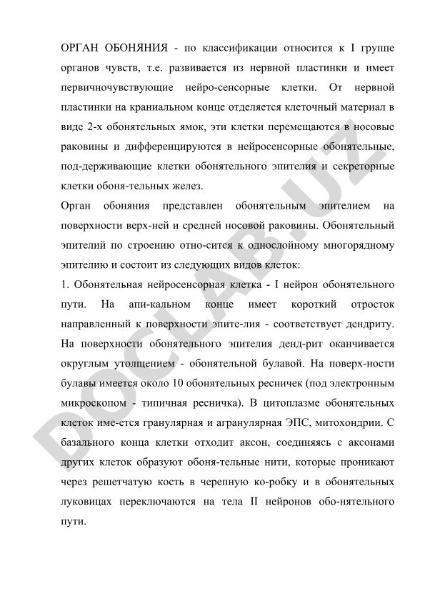 Орган обоняния: строение и развитие