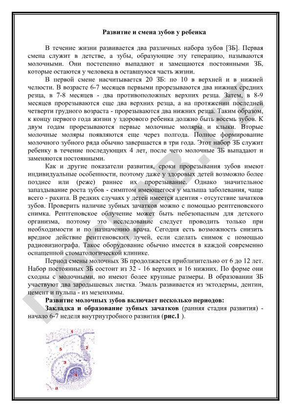 Развитие и смена зубов у ребенка