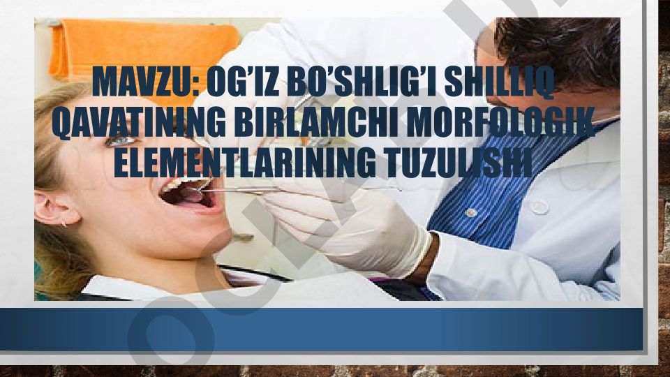 OG’IZ BO’SHLIG’I SHILLIQ QAVATINING BIRLAMCHI MORFOLOGIK ELEMENTLARINING TUZULISHI