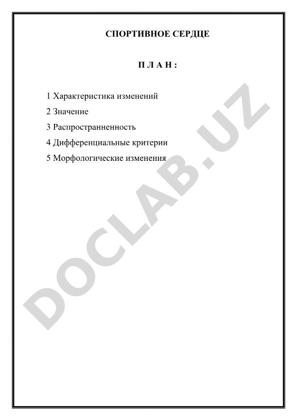 Спортивное сердце: характеристика, изменения и диагностика