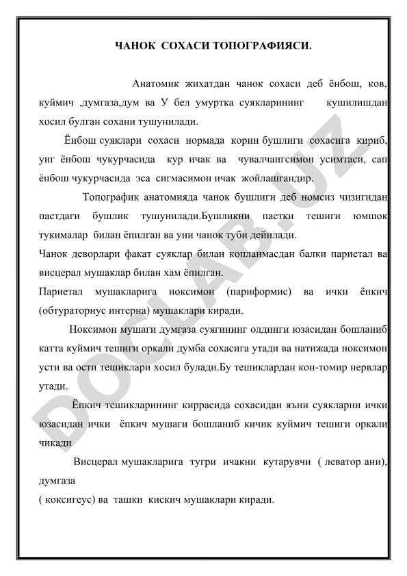 Чанок сохаси топографияси ва анатомияси