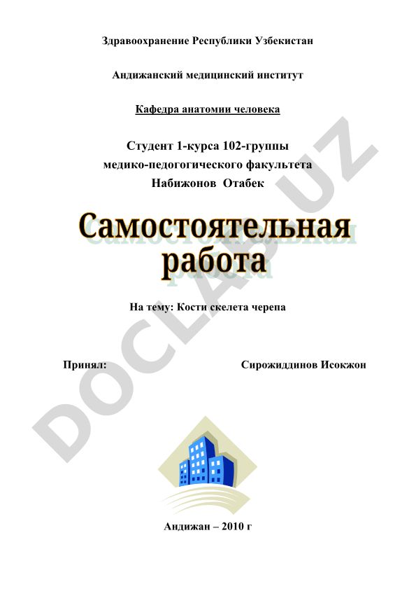 Кости скелета черепа