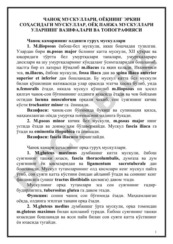 Чаноқ мускуллари, оёқнинг эркин соҳасидаги мускуллар, оёқ панжа мускуллари ва уларнинг вазифалари