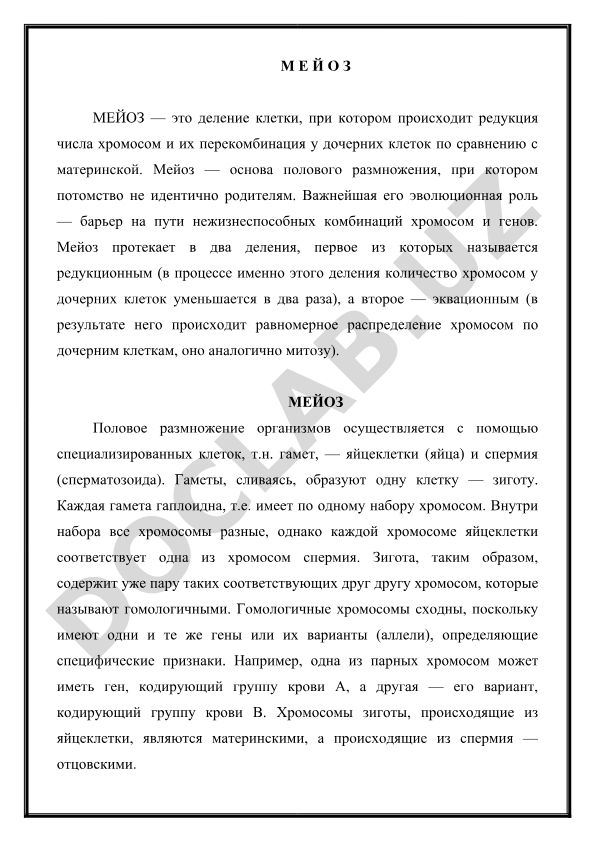 Мейоз: процесс деления клеток и его роль в половом размножении
