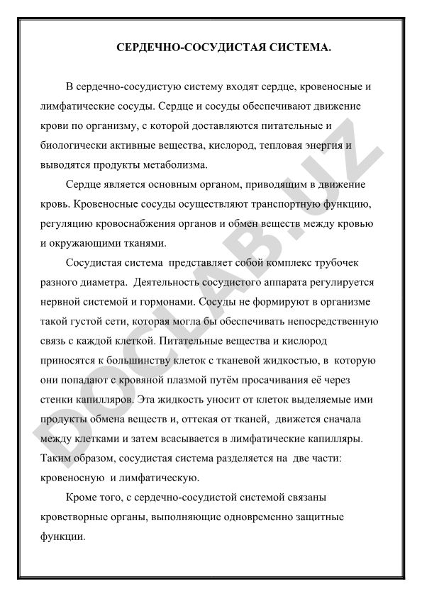Сердечно-сосудистая система человека