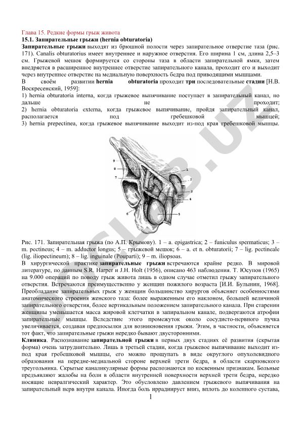 Редкие формы грыж живота: запирательные грыжи