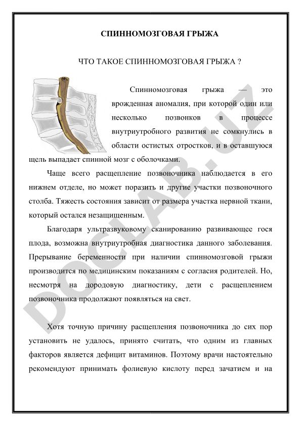 Спинномозговая грыжа: причины, диагностика и профилактика