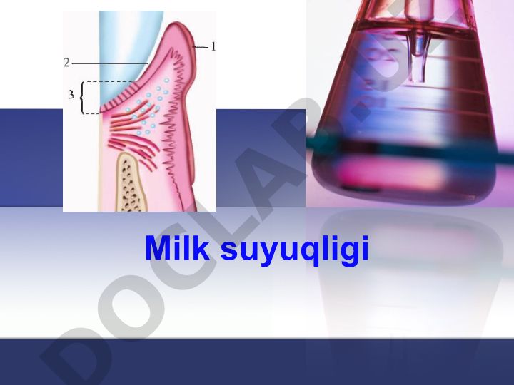 Milk suyuqligi tarkibi va leykotsitlar emigratsiyasi