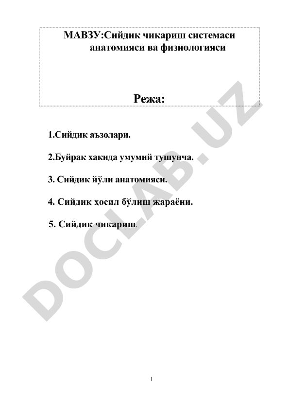Сийдик чикариш системаси анатомияси ва физиологияси