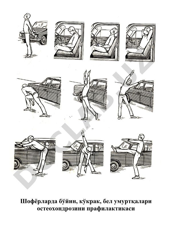 Шофёрларда бўйин, кўкрак, бел умуртқалари остеохондрозини профилактикаси ва концерватив давоси