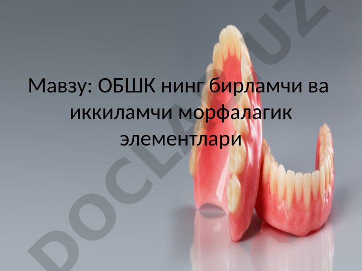 ОБШК нинг бирламчи ва иккиламчи морфалагик элементлари