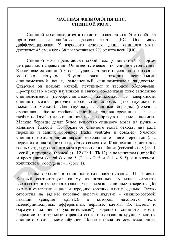 Частная физиология ЦНС. Спинной мозг