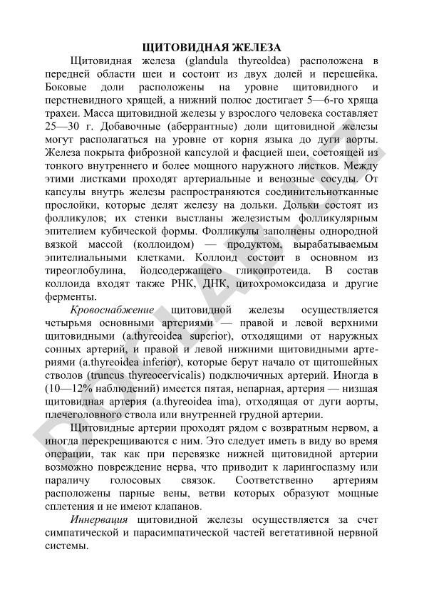Щитовидная железа: анатомия, гистология и кровоснабжение