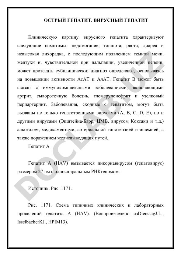 Острый вирусный гепатит: клиническая картина, диагностика и виды
