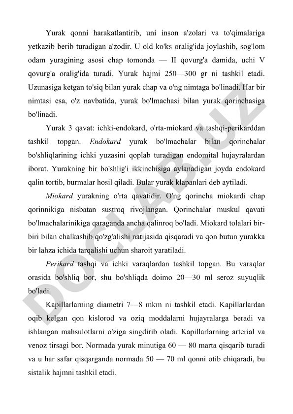 Yurakning tuzilishi va funksiyasi
