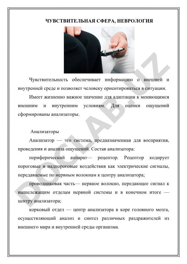 Чувствительная сфера и неврология