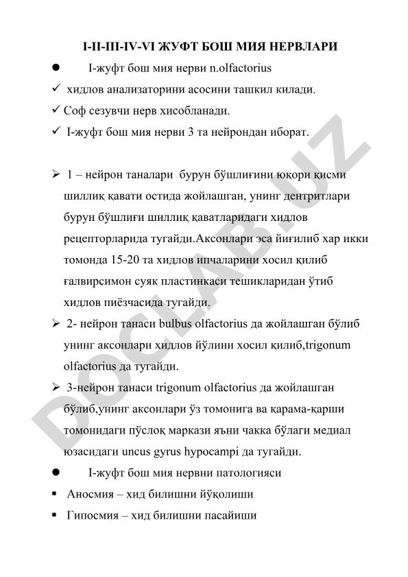 I-жуфт бош мия нерви (n.olfactorius) тузилиши ва патологияси