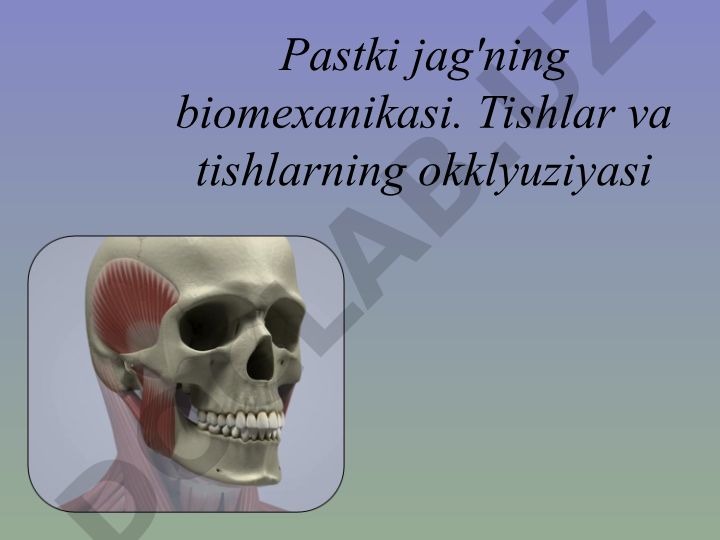 Pastki jag'ning biomexanikasi va tishlar okklyuziyasi