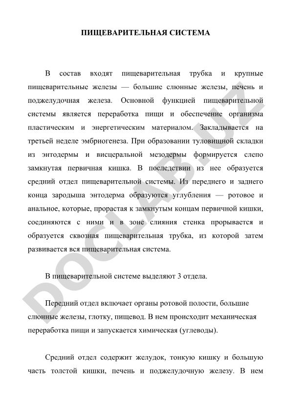 Пищеварительная система человека: строение и функции